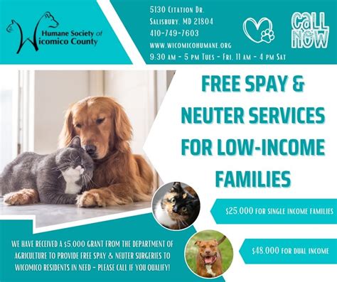 free spay and neuter clinic tucson 2024|free spay voucher.